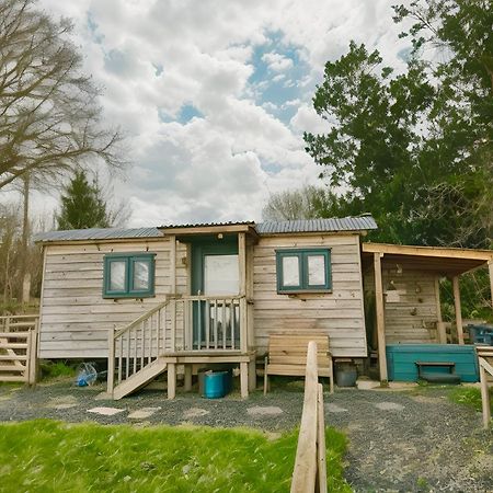Lle Mary - Beautiful Views, Hot Tub, Secluded, Dog Welcome, Barmouth Llanddwywe Exterior foto