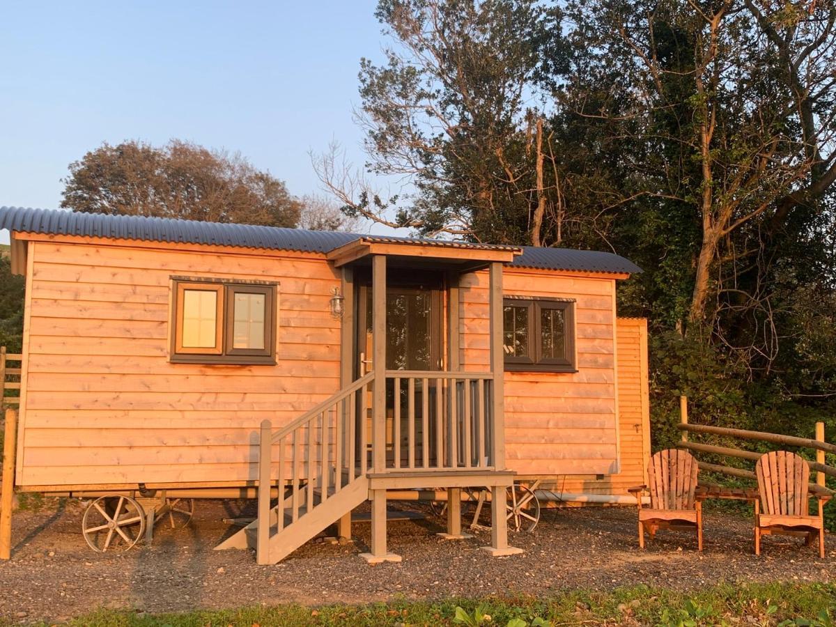 Lle Mary - Beautiful Views, Hot Tub, Secluded, Dog Welcome, Barmouth Llanddwywe Exterior foto